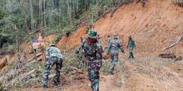 Proses Pengerjaan Terus Dilakukan, TMMD Ke 126 Membersihkan Batang Pohon Dari Badan Jalan