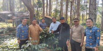 Usai Landing di Bandara Senubung, Bupati Gayo Lues Kunjungi Kebun Kopi Masyarakat Uyem Beriring