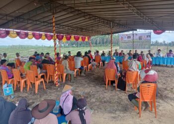 Tanam Bersama Padi Gogo, Wujudkan Desa Mandiri Pangan di Lubuk Kembang Sari