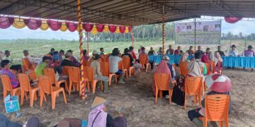 Tanam Bersama Padi Gogo, Wujudkan Desa Mandiri Pangan di Lubuk Kembang Sari