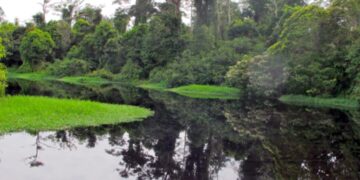 Rawa Singkil, “Amazon” Dari Aceh Memikat Wisatawan