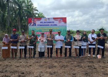 Kapolsek Pangkalan Lesung Tanam Jagung Bareng Warga, Dukung Ketahanan Pangan