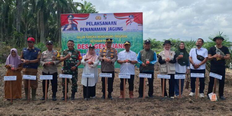 Kapolsek Pangkalan Lesung Tanam Jagung Bareng Warga, Dukung Ketahanan Pangan