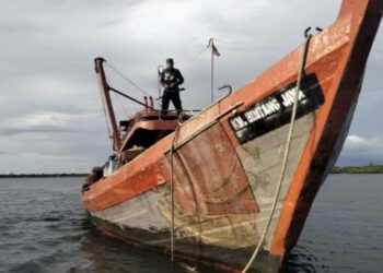 Jejak Pukat Harimau Di Laut Aceh Singkil : Ancaman Ekosistem Dan Perlawanan Nelayan Kecil