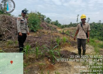 Polsek Bunut Monitoring Program Ketahanan Pangan di Desa Bagan Laguh, Hadapi Tantangan Cuaca dan Hama