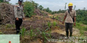 Polsek Bunut Monitoring Program Ketahanan Pangan di Desa Bagan Laguh, Hadapi Tantangan Cuaca dan Hama