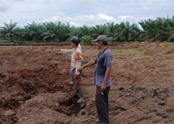 Kapolsek Teluk Meranti Pantau Penanaman Jagung Pipil Tahap II Dukung Program Asta Cita Presiden