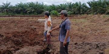 Kapolsek Teluk Meranti Pantau Penanaman Jagung Pipil Tahap II Dukung Program Asta Cita Presiden