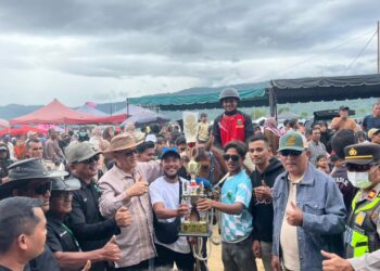 Pacuan Kuda Tradisional Gayo Lues Ajang Silaturahmi Dan Kebersamaan