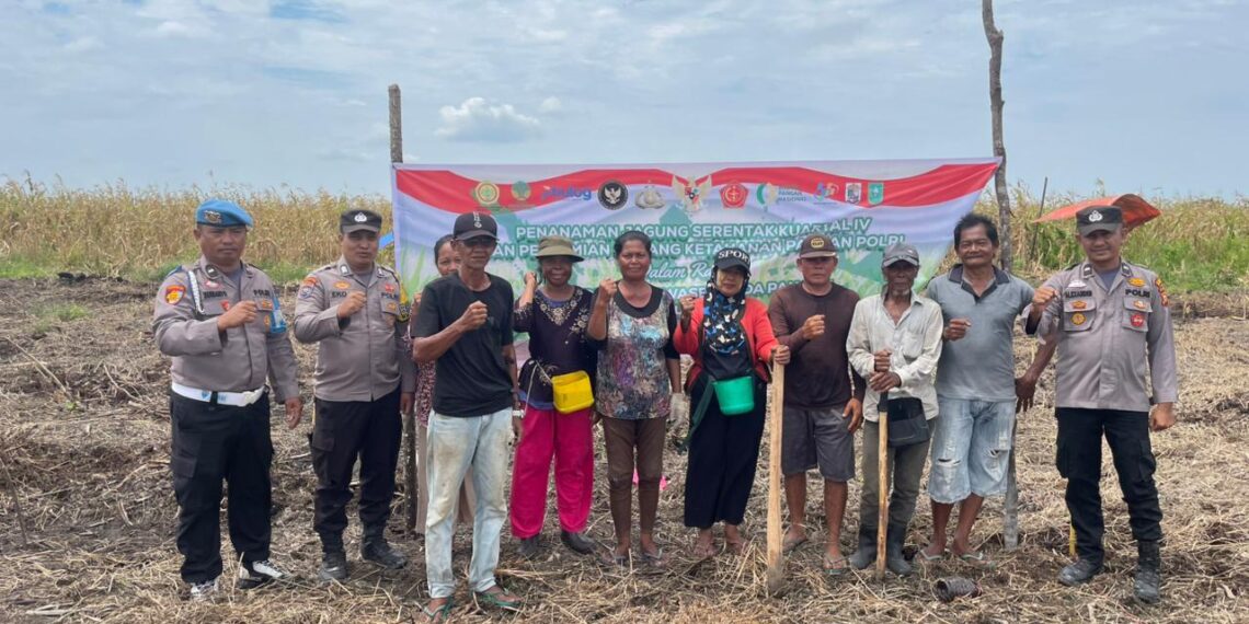 Polisi Tanam Jagung Serentak di Kuala Kampar, Dorong Ketahanan Pangan Daerah