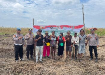 Polisi Tanam Jagung Serentak di Kuala Kampar, Dorong Ketahanan Pangan Daerah