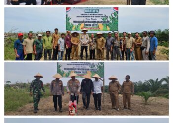 Polisi dan Warga Tanam Jagung Serentak di Pangkalan Kuras, Dorong Swasembada Pangan 2025