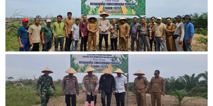 Polisi dan Warga Tanam Jagung Serentak di Pangkalan Kuras, Dorong Swasembada Pangan 2025