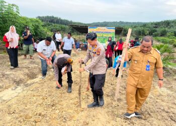 Polsek Ukui Dukung Swasembada Pangan Lewat Penanaman Jagung Serentak di Lahan Kelompok Tani Barokah