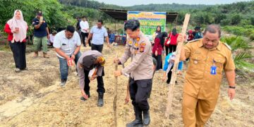 Polsek Ukui Dukung Swasembada Pangan Lewat Penanaman Jagung Serentak di Lahan Kelompok Tani Barokah