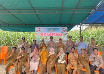 Polsek Kerumutan Bersinergi dengan Pemdes dan Kelompok Tani Tanam Jagung Serentak di Banjar Panjang