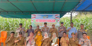 Polsek Kerumutan Bersinergi dengan Pemdes dan Kelompok Tani Tanam Jagung Serentak di Banjar Panjang