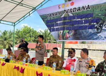 Polsek Ukui Dukung Program Asta Cita Lewat Tanam Perdana Cabai Keriting di Desa Bukit Jaya