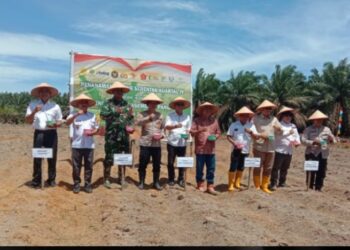 Polri Dan Multipihak Garap Lahan Jagung 4 Hektar Dukung Ketahanan Pangan