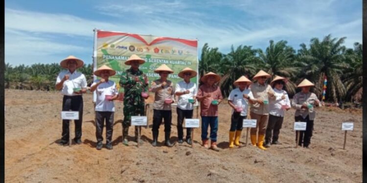 Polri Dan Multipihak Garap Lahan Jagung 4 Hektar Dukung Ketahanan Pangan
