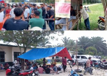 Sangat Kasihan .!! Massa Aksi Agrinas kepau Jaya Bertahan Di Tenda