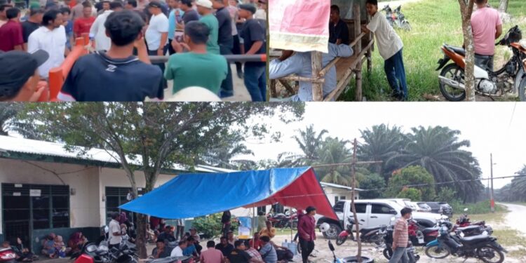 Sangat Kasihan .!! Massa Aksi Agrinas kepau Jaya Bertahan Di Tenda