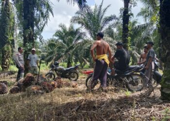 Polsek Pangkalan Lesung Sambangi Tokoh Pemuda, Ajak Jaga Kamtibmas