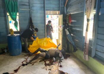 Mayat Pria Ditemukan di Rumah Dusun IV Tapui Indah, Pelalawan