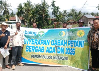 Tani Merdeka Aceh Tenggara Kawal Harga Gabah Di Tingkat Petani