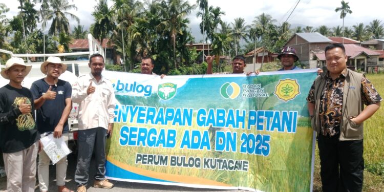 Tani Merdeka Aceh Tenggara Kawal Harga Gabah Di Tingkat Petani