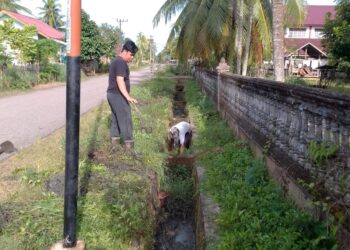 Persiapan Maulid Nabi Muhammad SAW, Masyarakat Gampong Hagu Gotong Royong