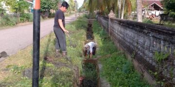 Persiapan Maulid Nabi Muhammad SAW, Masyarakat Gampong Hagu Gotong Royong