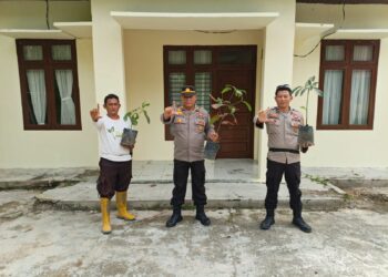 Sambut Hari Pahlawan, Polsek Pangkalan Kerinci Tanam Bibit Pohon Buah