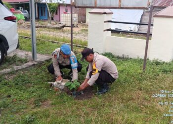 Program Penanaman Serentak 21.000 Pohon Polda Riau, Polsek Bunut Tanam Pohon Alpukat