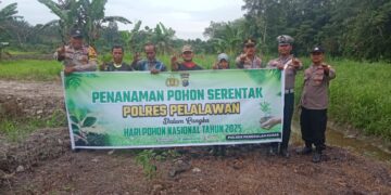 Polsek Pangkalan Kuras Tanam 17 Pohon Buah di Hari Pohon Nasional
