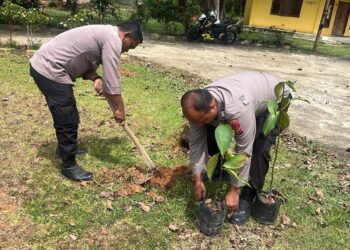 Polsek Ukui Tanam Pohon Rambutan dan Kelengkeng di Hari Pohon Nasional 2025