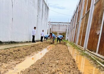 Dukung Ketahanan Pangan, Lapas Narkotika Langsa Garap Lahan Produktif di Area Brandgang