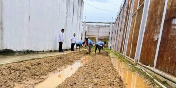 Dukung Ketahanan Pangan, Lapas Narkotika Langsa Garap Lahan Produktif di Area Brandgang