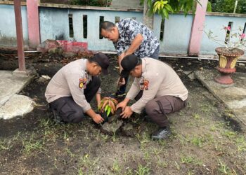Hari Pohon Nasional, Polsek Kuala Kampar Hijaukan Lingkungan Markas Polisi