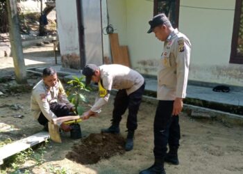 Penanaman Pohon Serentak di Polsek Kerumutan, Dukung Program Kapolda Riau Sambut Hari Pohon Nasional 2025