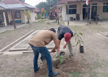 Dukung Program Kapolda Riau, Polsek Pangkalan Kerinci Lakukan Penanaman Bibit Pohon