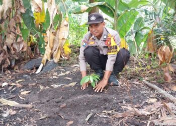 Polsek Bunut Tanam 17 Pohon Dalam Rangka Hari Pohon Nasional 2025