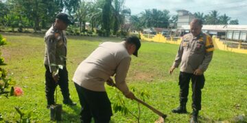 Peringati Hari Pohon Nasional, Polsek Ukui Tanam 17 Bibit Pohon Buah