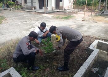 Polsek Bunut Tanam 17 Bibit Pohon Dalam Rangka Hari Pohon Nasional 2025