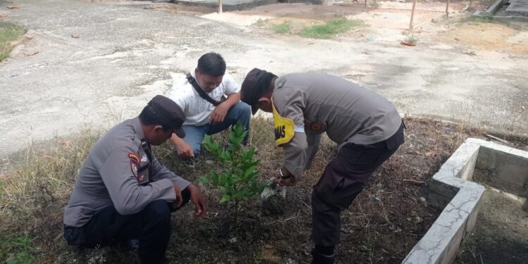 Polsek Bunut Tanam 17 Bibit Pohon Dalam Rangka Hari Pohon Nasional 2025