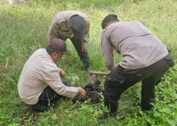 Aksi Penghijauan Polsek Kuala Kampar