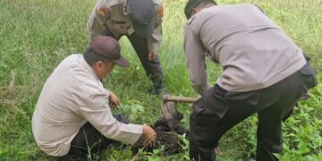 Aksi Penghijauan Polsek Kuala Kampar