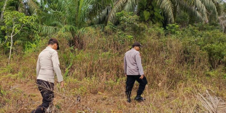 Upaya Pencegahan Karhutla di Teluk Meranti Pelalawan