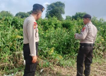 Polisi Patroli Daerah Rawan Karhutla dan Sosialisasikan Larangan Membakar Lahan