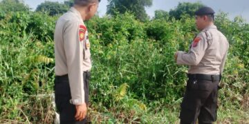 Polisi Patroli Daerah Rawan Karhutla dan Sosialisasikan Larangan Membakar Lahan